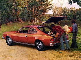 AMC Hornet