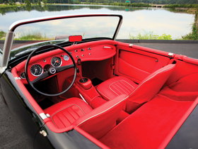 Austin Sprite