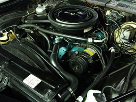 Coupe