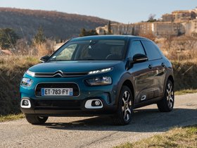 C4 Cactus