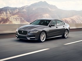 XF