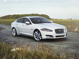 XF
