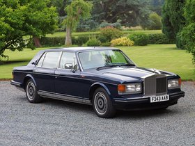Silver Spur