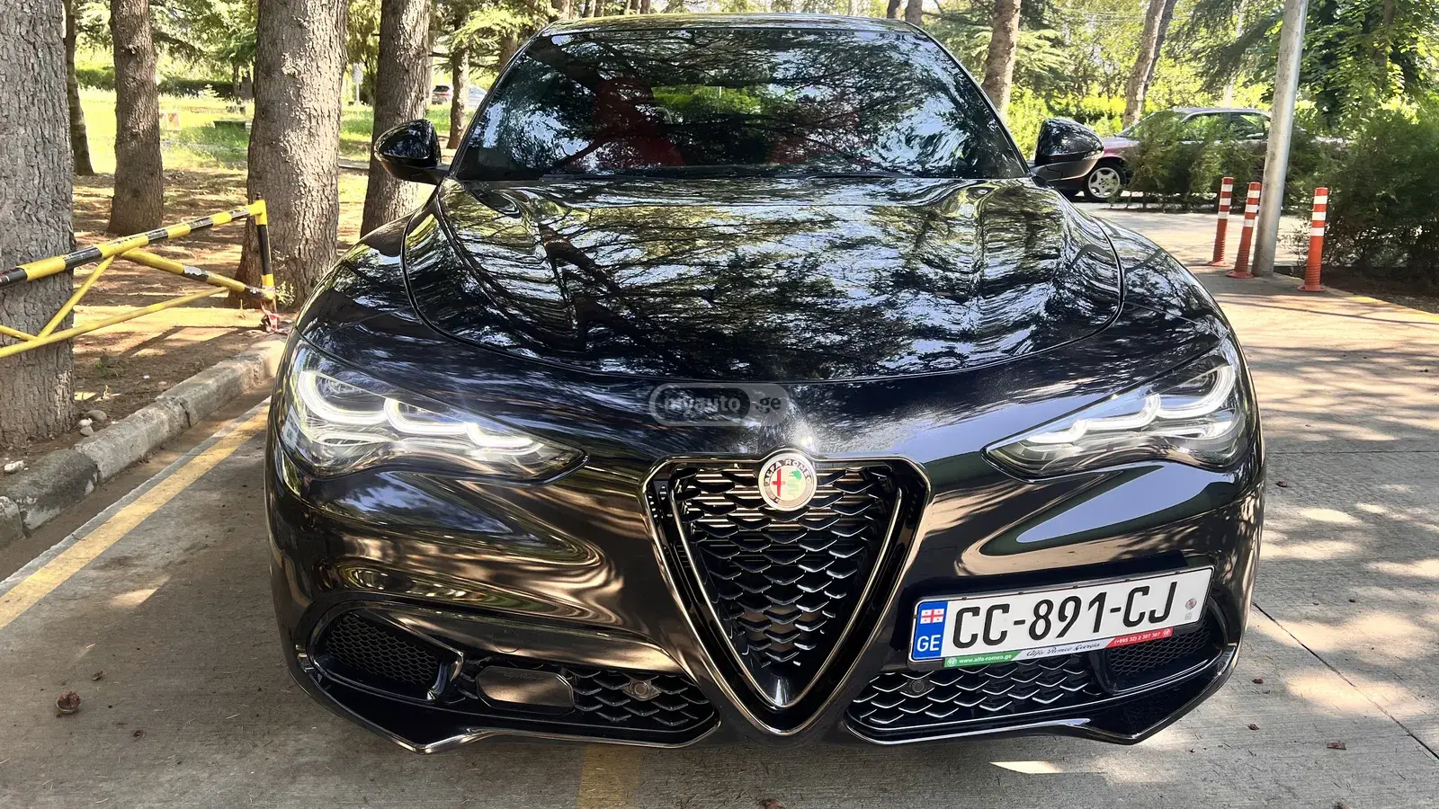 Alfa Romeo Stelvio, миниатюра 9