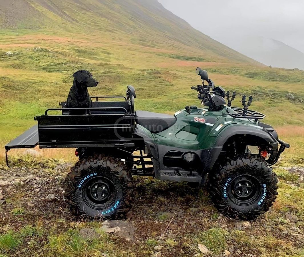 TGB BLADE 600AR EPS 4X4