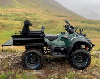  BLADE 600AR EPS 4X4 