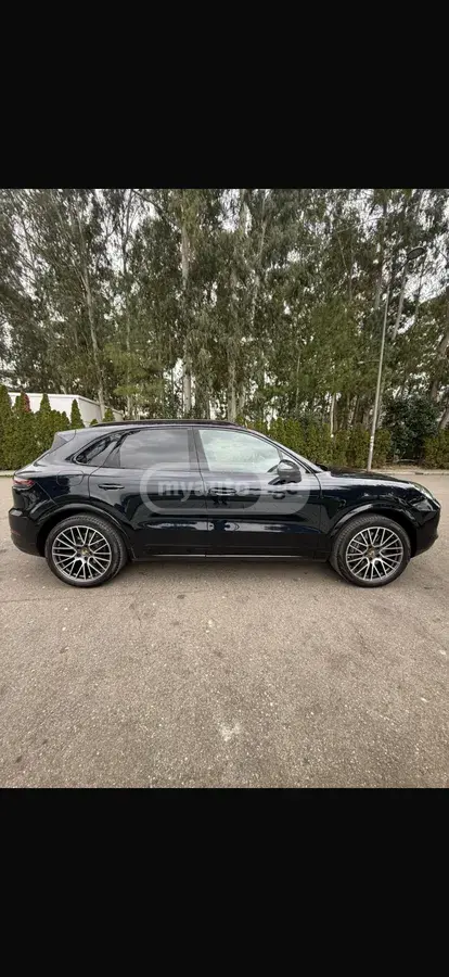 Porsche Cayenne, миниатюра 6