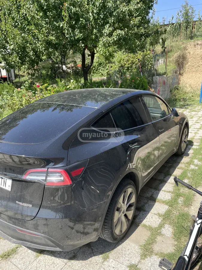 Tesla Model Y, миниатюра 2