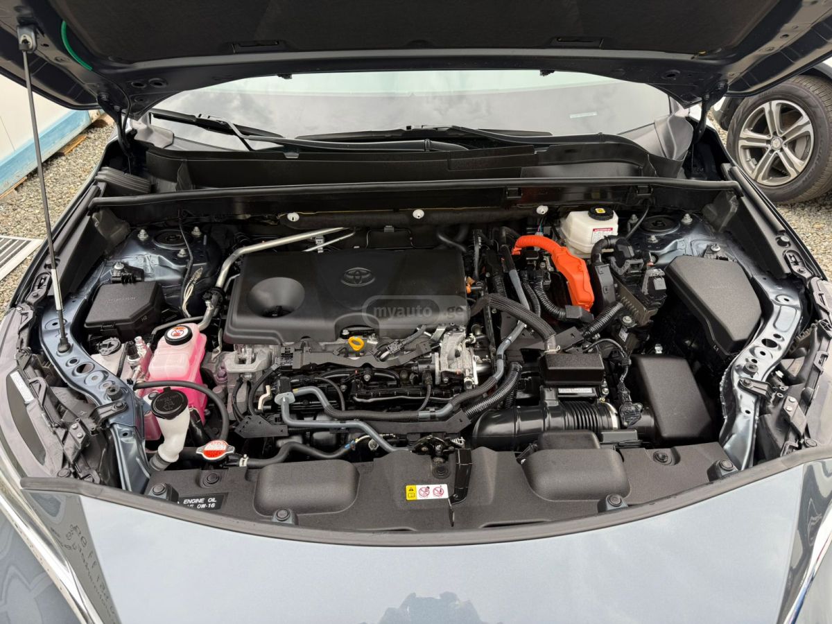 Toyota Venza 