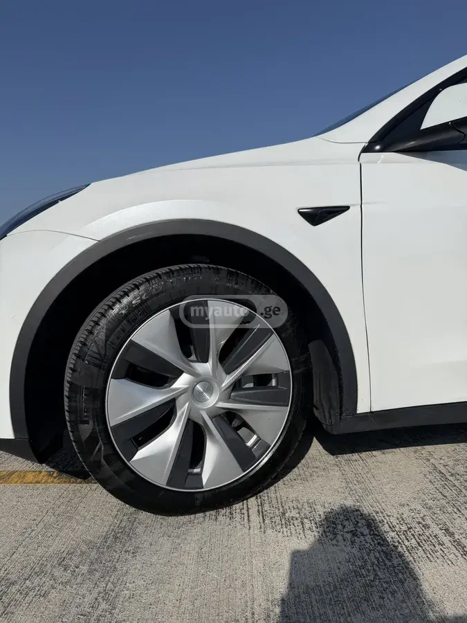 Tesla Model Y, миниатюра 2