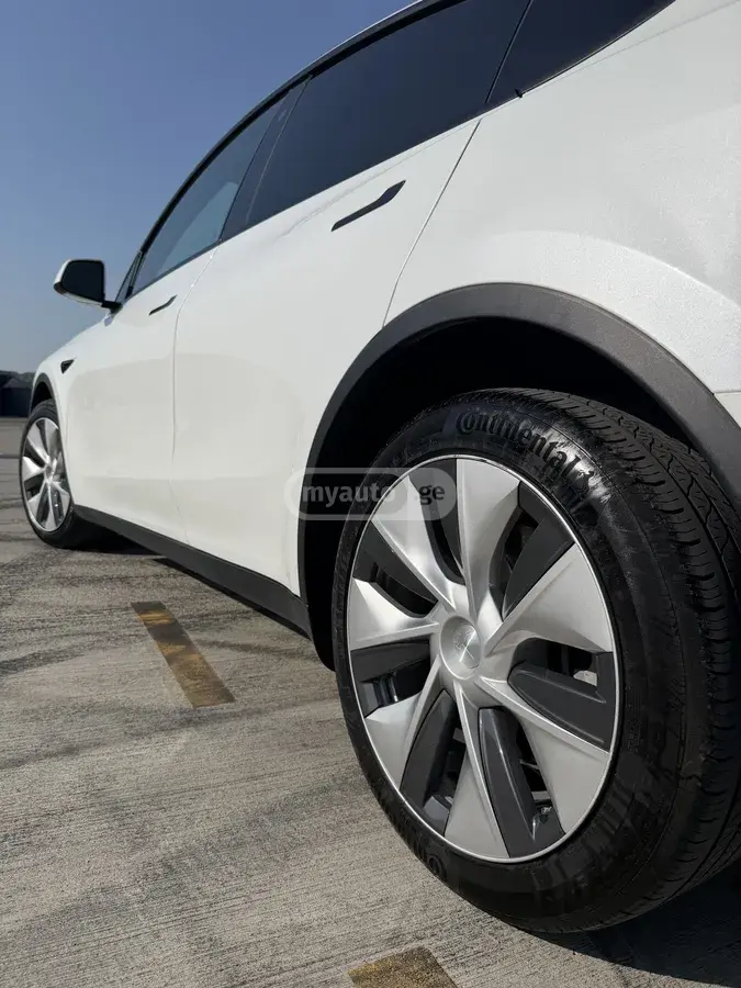 Tesla Model Y, миниатюра 3