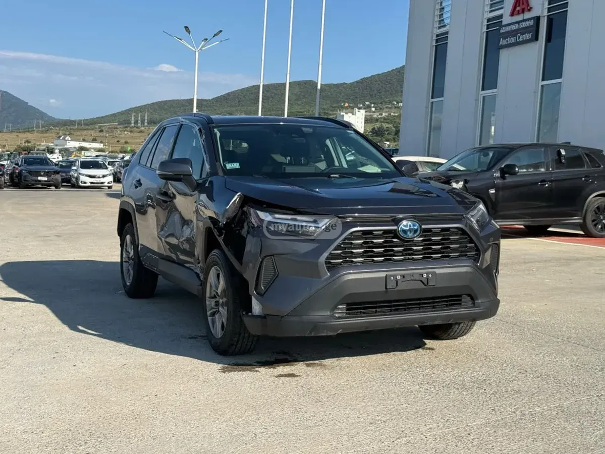 Toyota RAV4 RAV 4, миниатюра 2