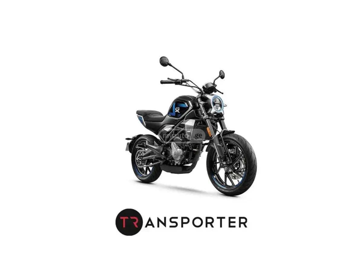 CF Moto 300NK 