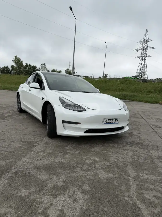 Tesla Model 3, миниатюра 2