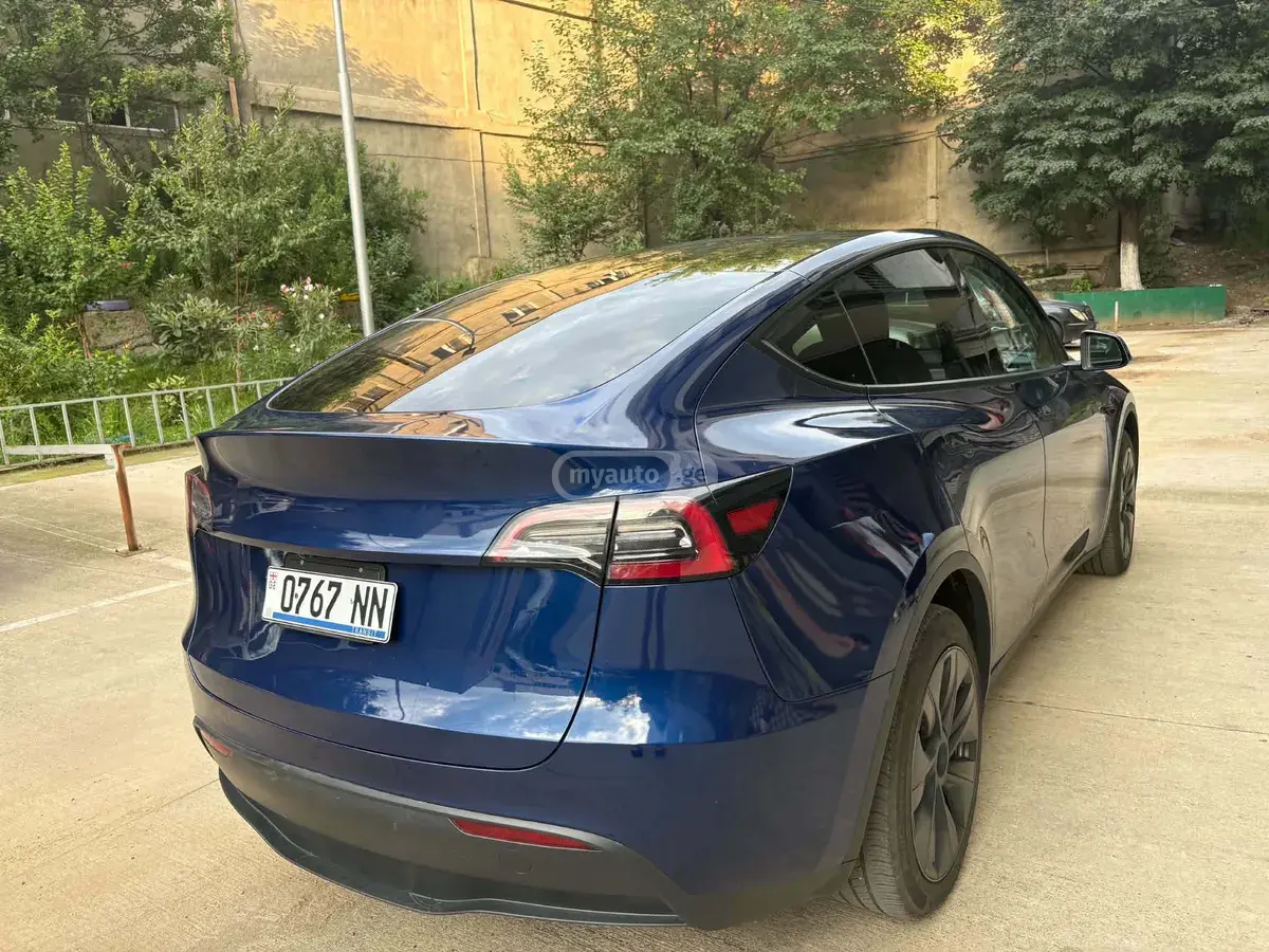 Tesla Model Y, миниатюра 2