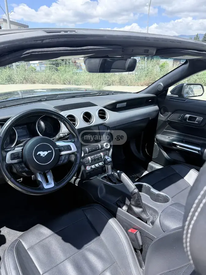 Ford Mustang, миниатюра 8