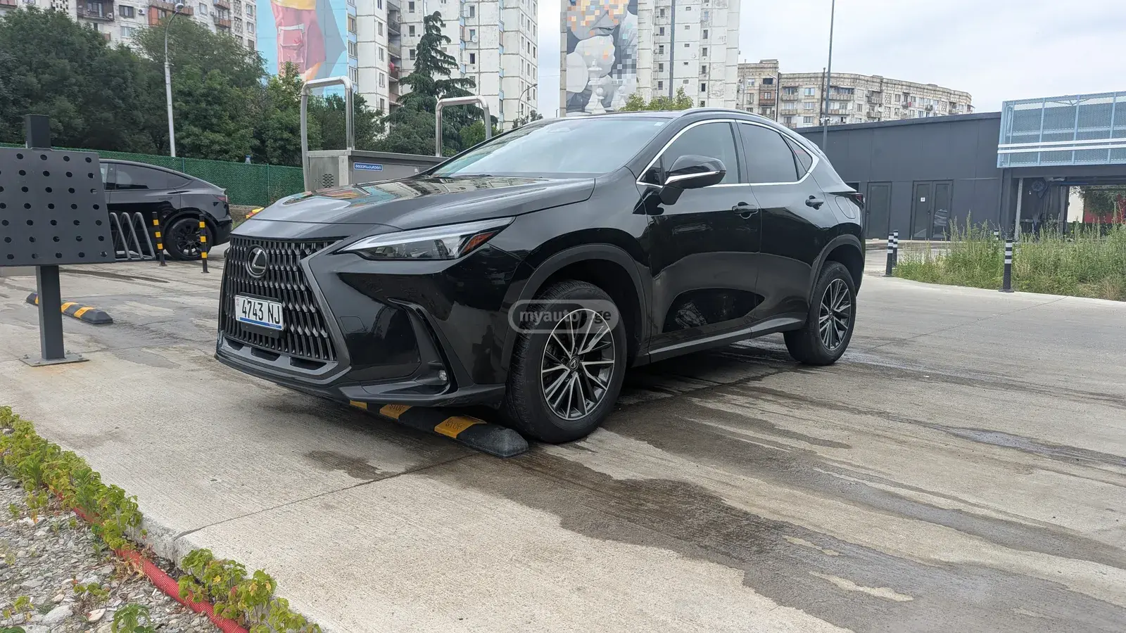 Lexus NX 250, миниатюра 4
