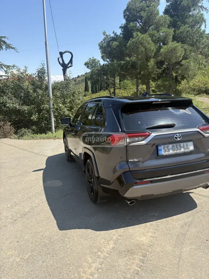 Toyota RAV4 RAV 4, миниатюра 10