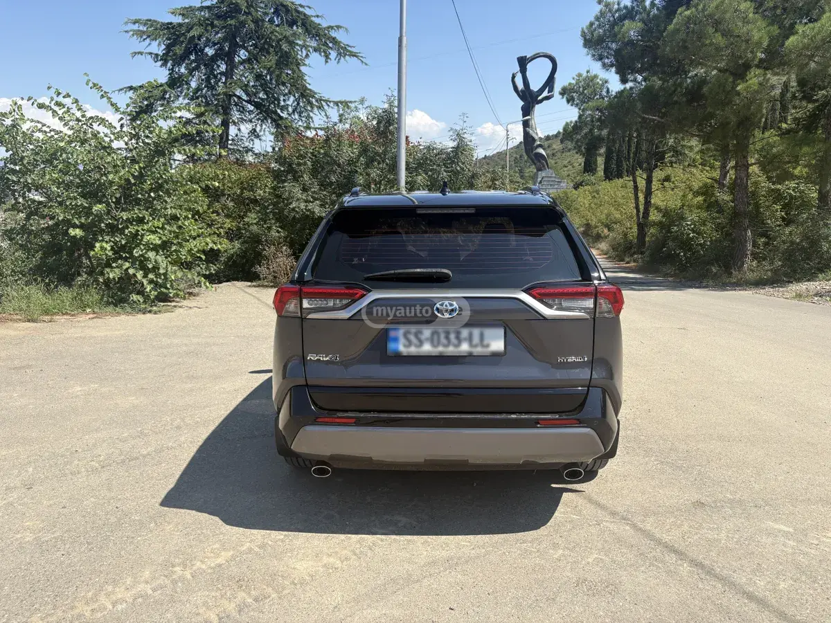 Toyota RAV4 RAV 4, миниатюра 9
