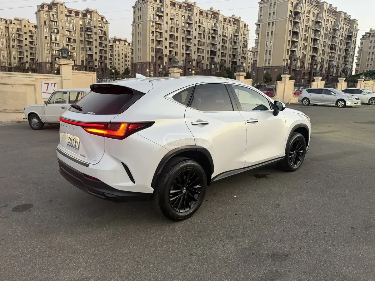 Lexus NX 350, миниатюра 13