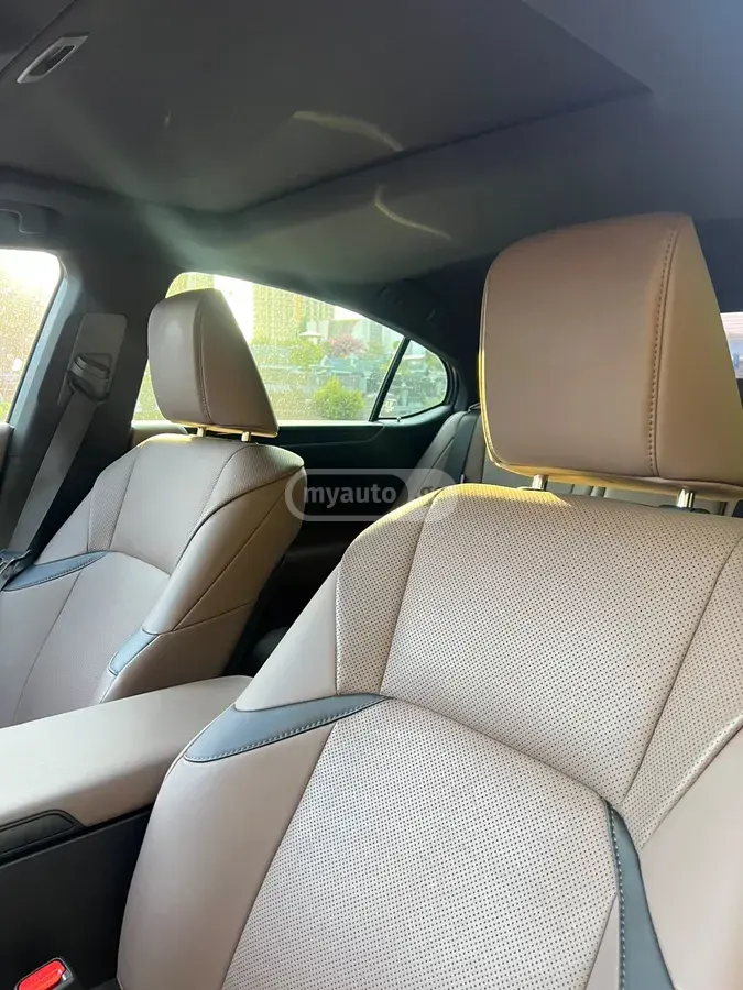 Lexus ES 250, миниатюра 10