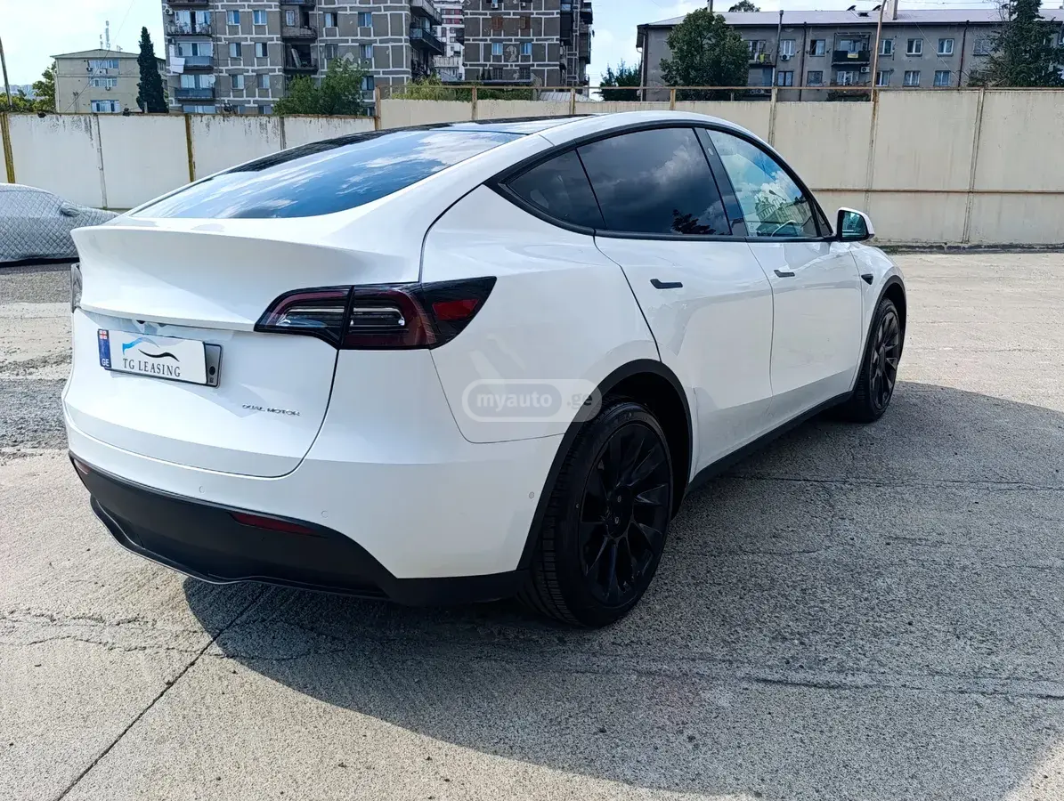 Tesla Model Y, миниатюра 5