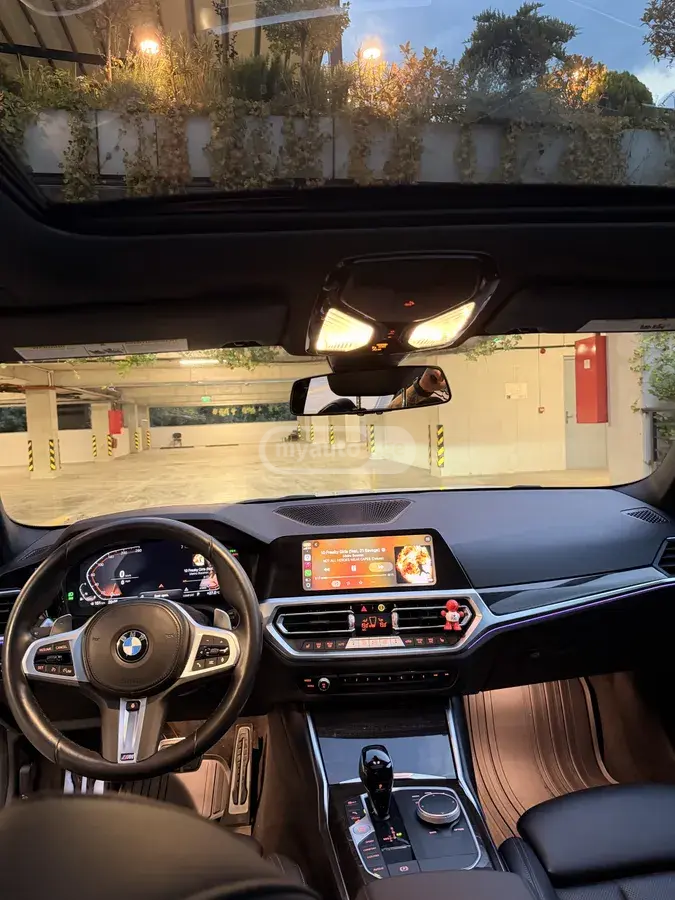 BMW 3 Series 330, миниатюра 10