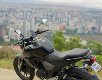  FZS-FI 