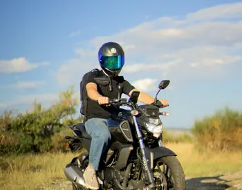  FZS-FI 