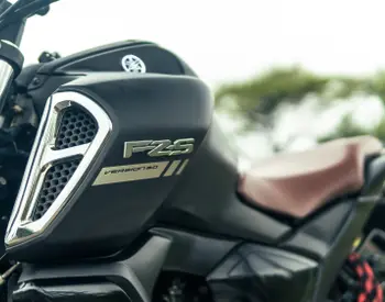 FZS-FI 