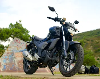  FZS-FI 