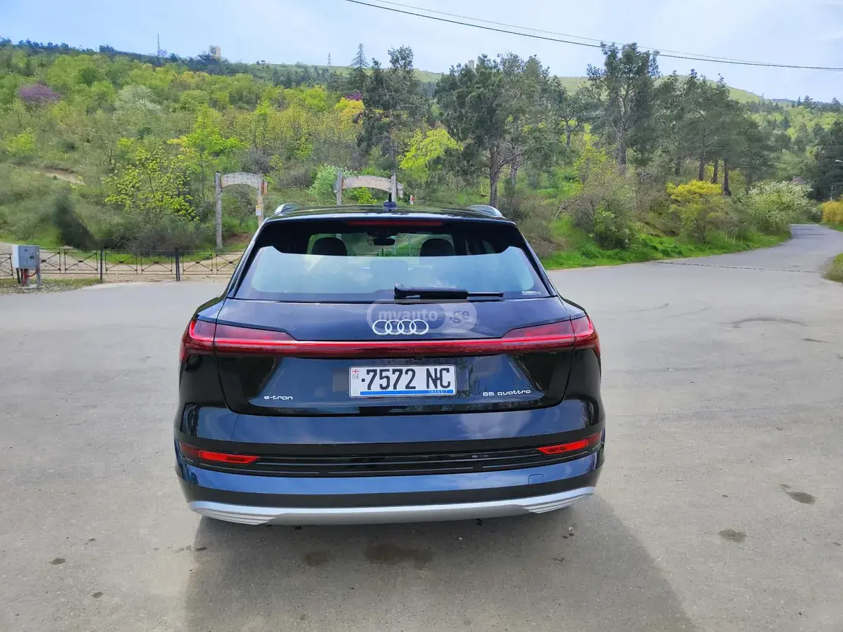 Audi e-tron, миниатюра 2