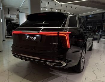 Hongqi E-HS9 