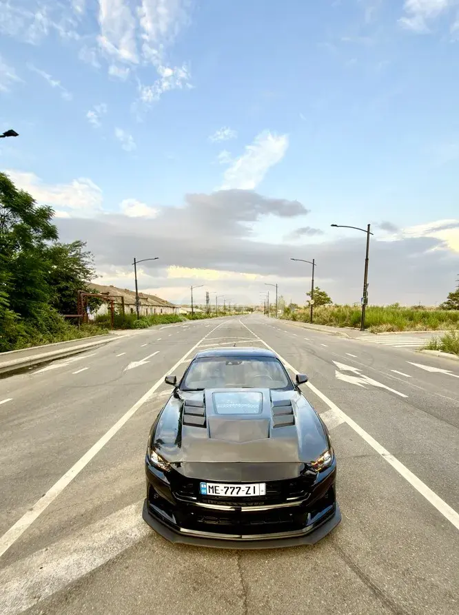 Ford Mustang, миниатюра 8
