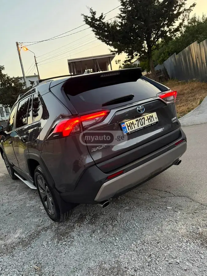 Toyota RAV4 RAV 4, миниатюра 8