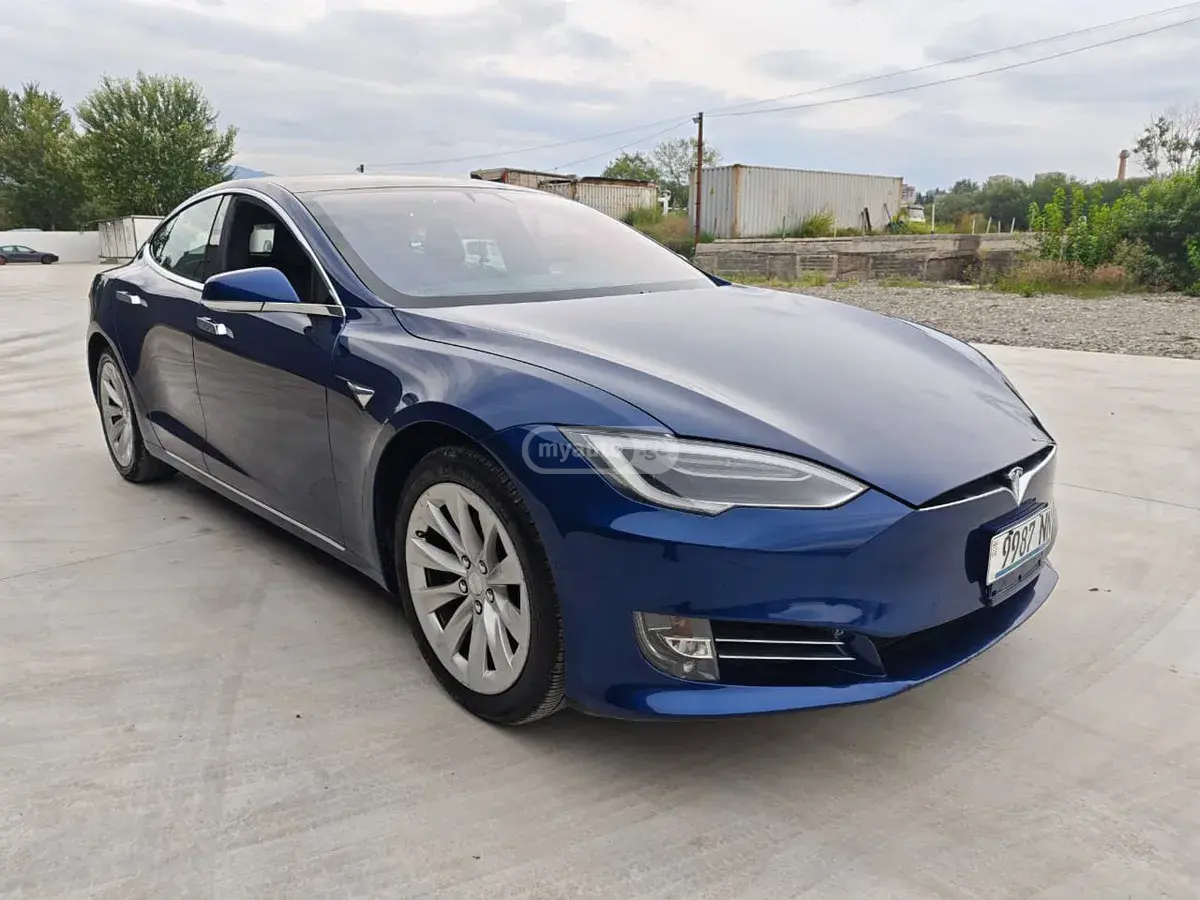 Tesla Model S 