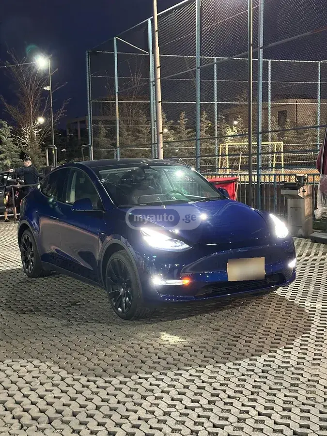 Tesla Model Y, миниатюра 2