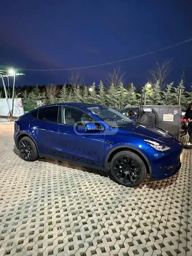 Tesla Model Y, миниатюра 3