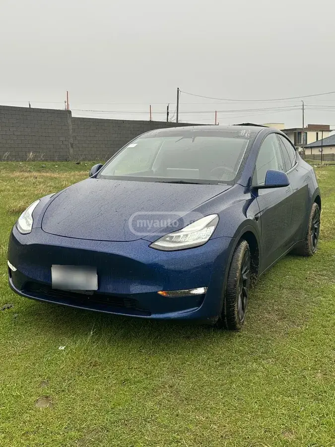 Tesla Model Y, миниатюра 9