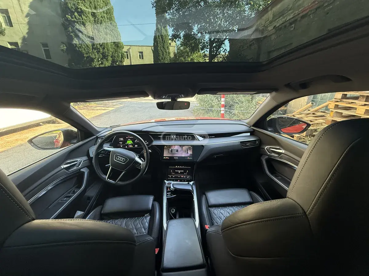 Audi e-tron, миниатюра 9