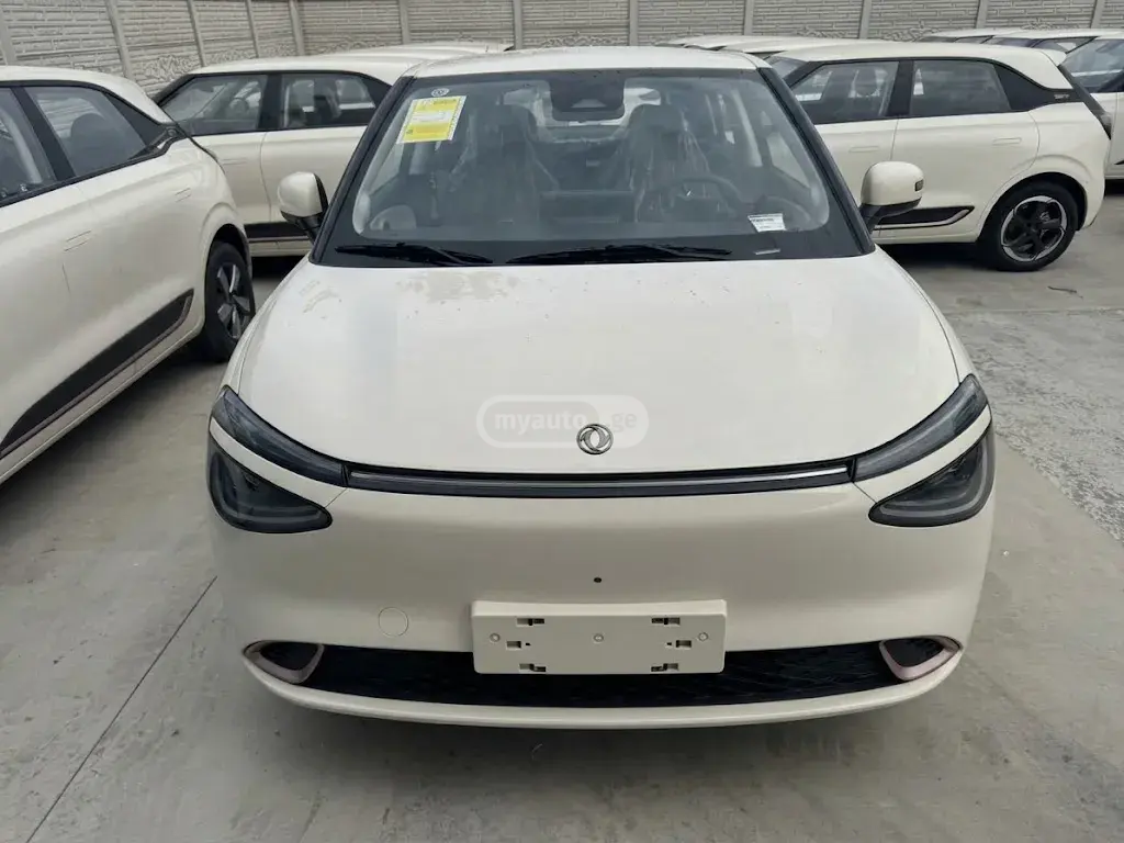 Dongfeng Nammi 01 EV 