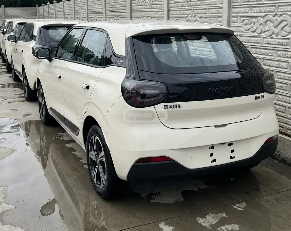 Dongfeng Nammi 01 EV 