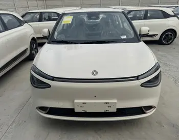 Dongfeng Nammi 01 EV 430 Pro