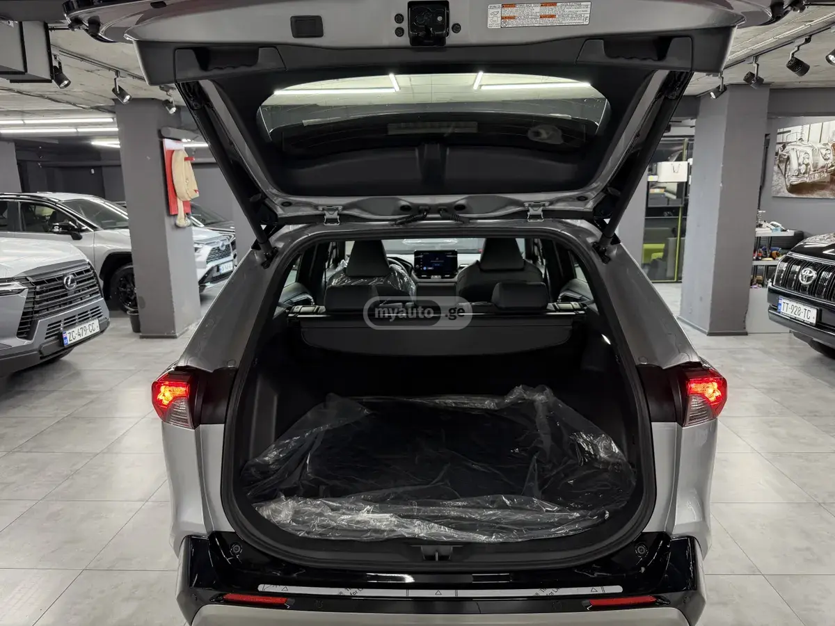 Toyota RAV4 RAV 4, миниатюра 12