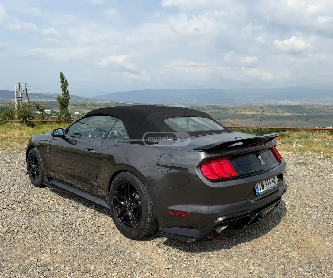 Ford Mustang, миниатюра 3