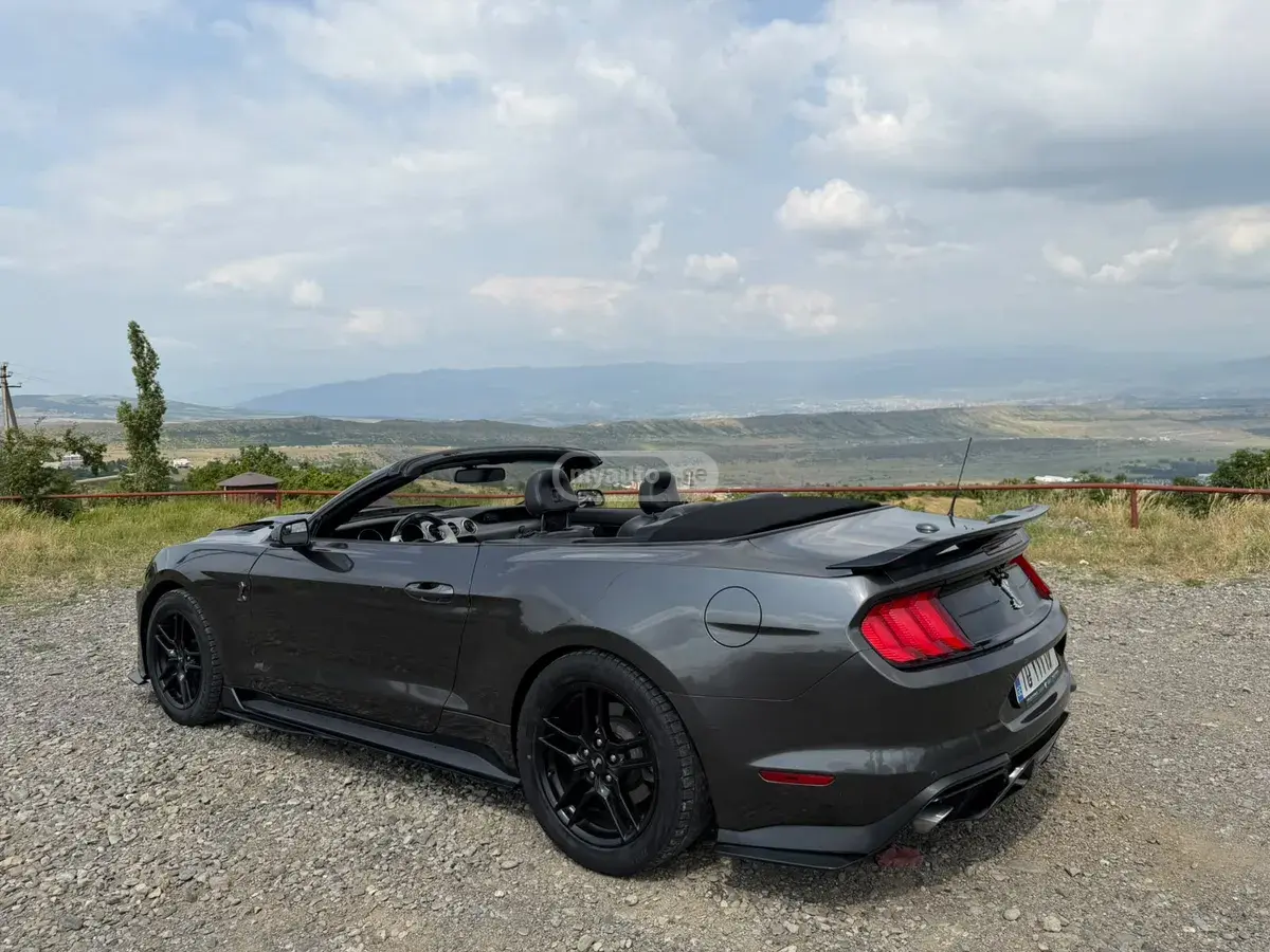 Ford Mustang, миниатюра 5