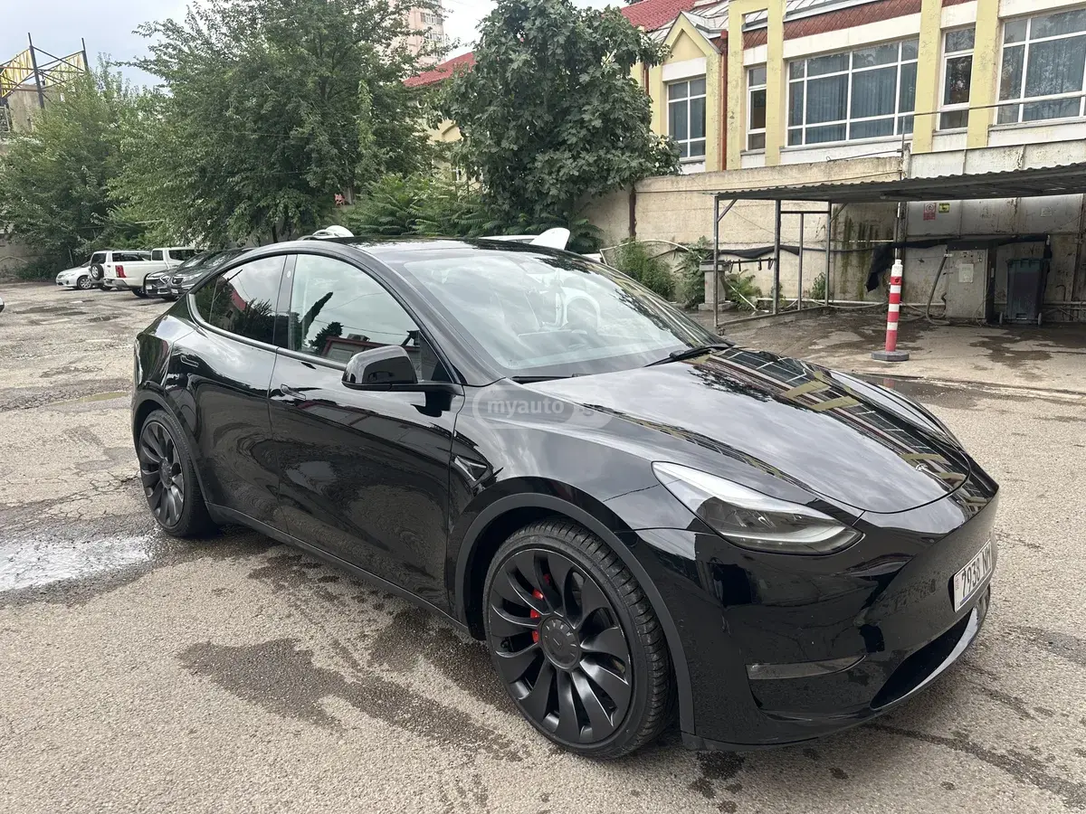 Tesla Model Y, фото 1