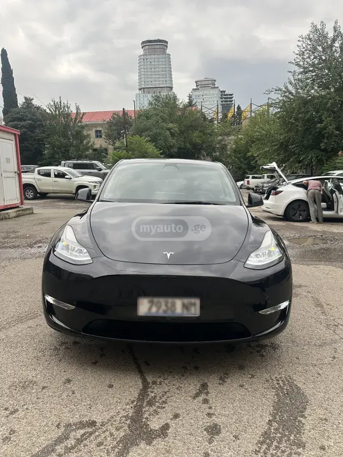 Tesla Model Y, миниатюра 7
