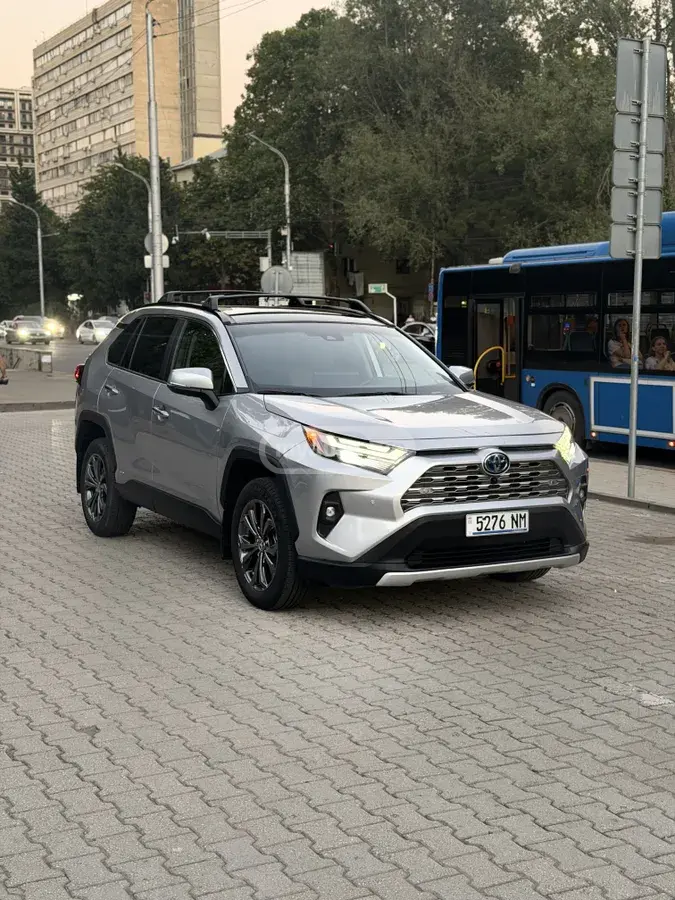 Toyota RAV4 RAV 4, миниатюра 13