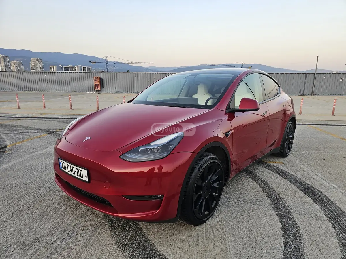 Tesla Model Y, миниатюра 2